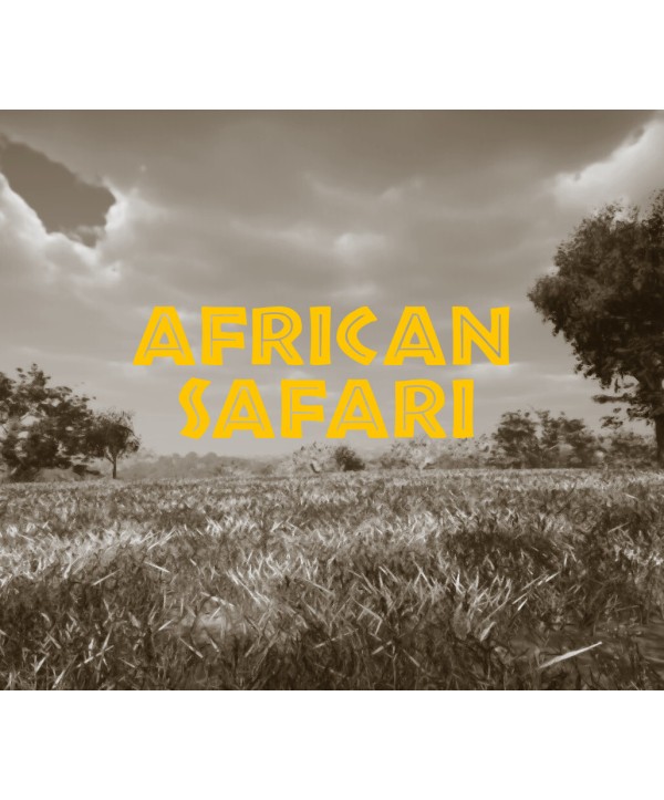 African Safari Steam Key GLOBAL